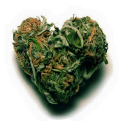 cropped-heart-shaped-bud-flavicon.png